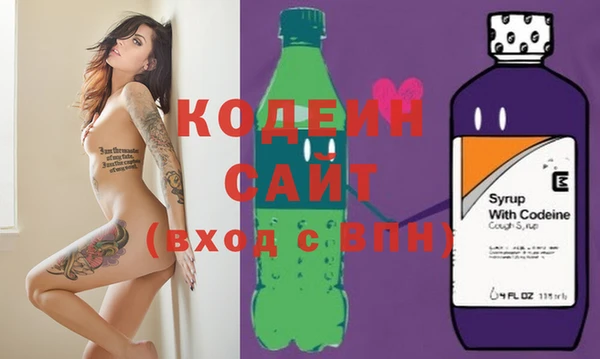 спиды Пересвет
