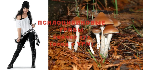COCAINE Абдулино