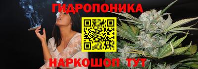 гашик Шахты