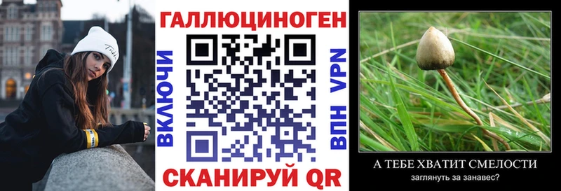 маркетплейс состав  где купить наркоту  Усть-Лабинск  Псилоцибиновые грибы мухоморы 