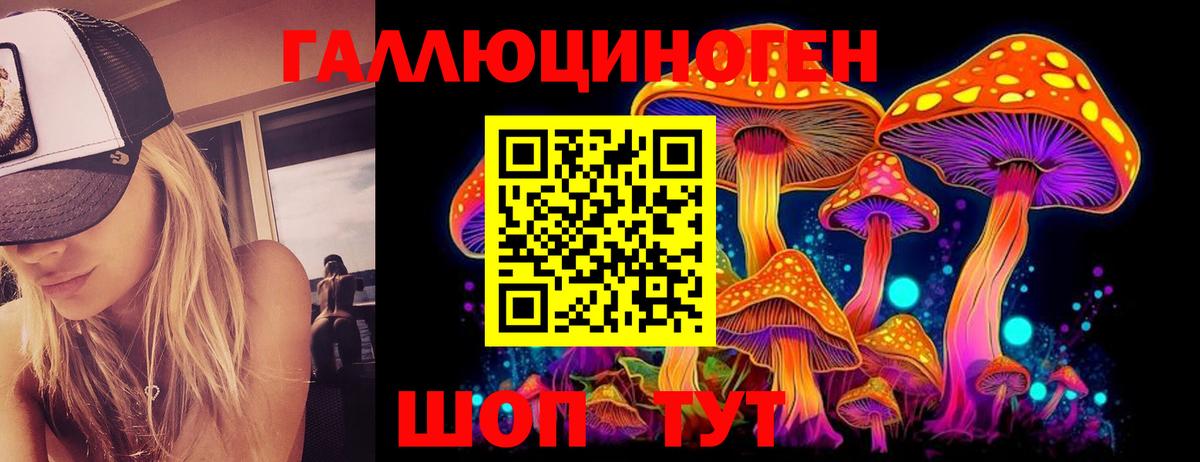 Галлюциногенные грибы Cubensis Усть-Лабинск