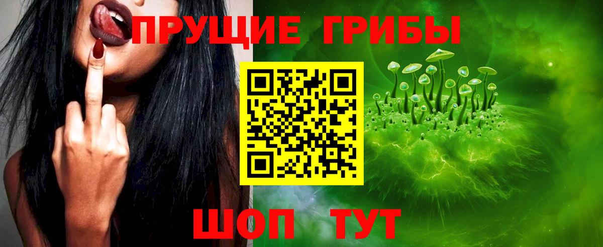 Усть-Лабинск  Псилоцибиновые грибы Psilocybe  Вход с VPN 